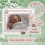 WELCOME HOLLY CHARLOTTE