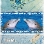dolphin