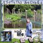STEPPING STONES
