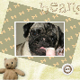 Beans Baby Book