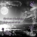 moonlight moonlight