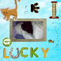 lucky1