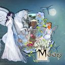 Fairy Moon Fairy Moon