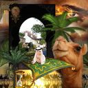 Arabian Nights