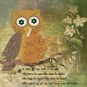 owl