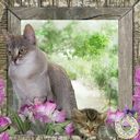 MY PUDDY-CAT MY PUDDY-CAT