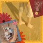 Indian Summers