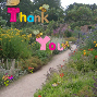 Thankyou card