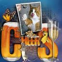Cheers Cheers