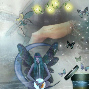 Butterflys's fairy