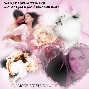 L'AMOUR EXISTE ENCORE (love still exists)