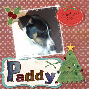 Paddy 1
