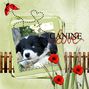 Canine Love.craft