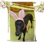 AngelAID Easter - Getting Ready - Blue Cross Blue Shield