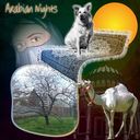 Arabian Nights