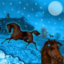 Snow Ponies Snow Ponies