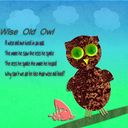 A Wise Old Owl