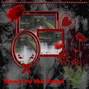 Down by the Canal Down by the Canal
