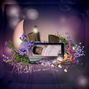 Dream Sweet Dream