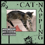 Cat Napping
