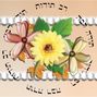 Today Rabah - Thank You