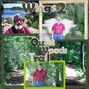 Wings Part 2 - Quiet Woods Trail