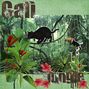 Cali Panther Jungle