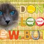 Don't Look Now! Card