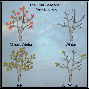 Four Seasons in NE