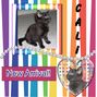 New Arrival - Cali
