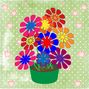 Pot and Flowers
