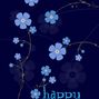 Dulseigh Birthday Card