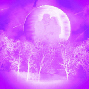 PURPLE MOON
