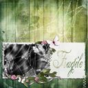in a word - fragile