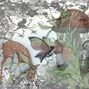 Fairy Fantasy