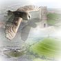 Birds Eye View  Challenge - Glastonbury