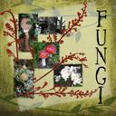 FUNGI