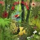 In The Jungle