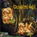 Enchanted Night Enchanted Night