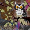 Wise Old Owl
