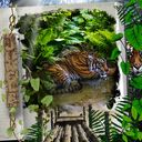 Jungle Jungle