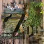 ZooFari