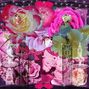 Dream Garden