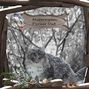 Forest Cat