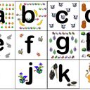 FLASHCARDS FLASHCARDS