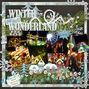 Winter Wonderland Dec 2011