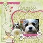 My Mum's dog