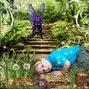 James - Just keep awake until I have seen a Fairy!