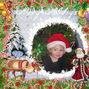 Christmas Lily