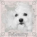 My February